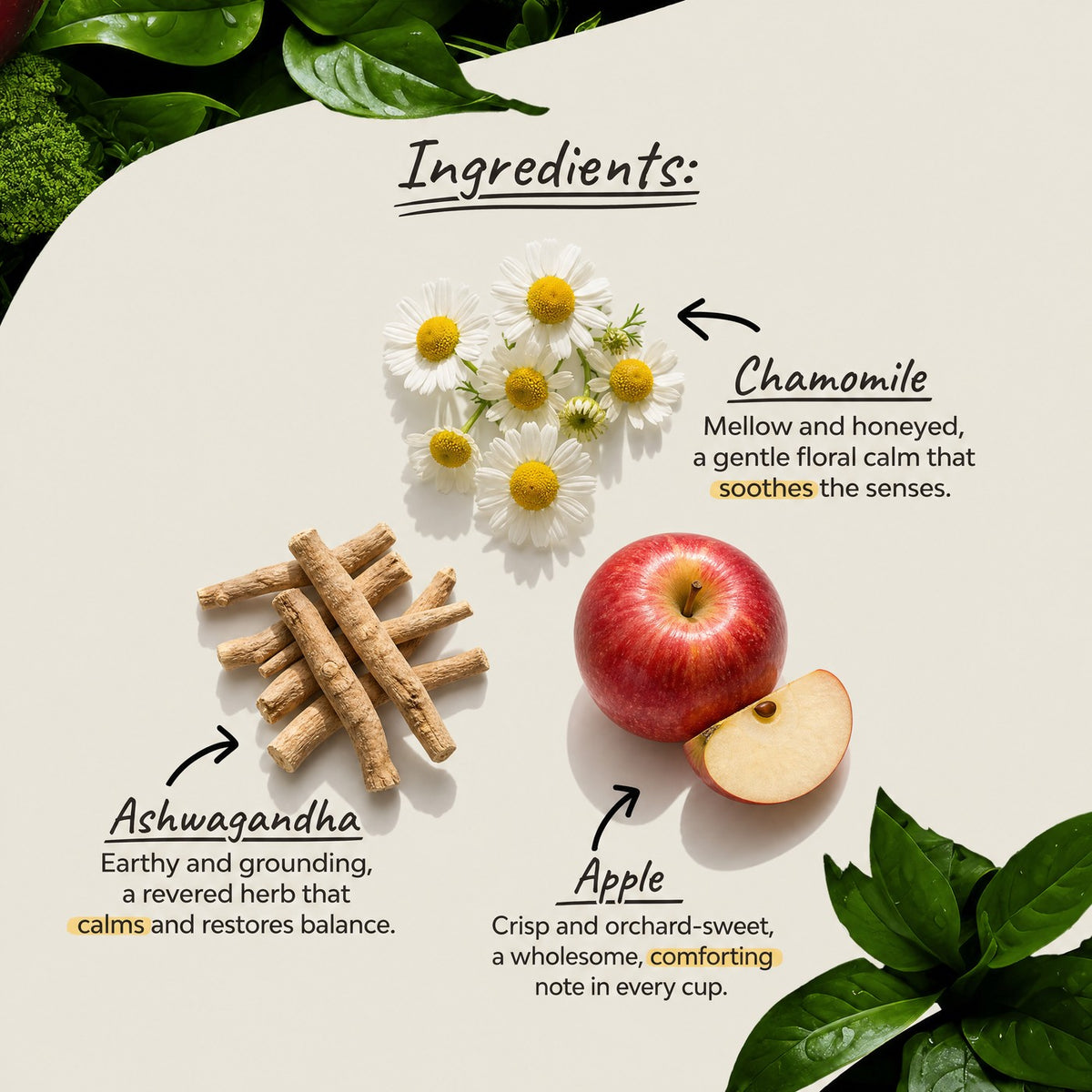 Organsia Alma és bodza esti bio tea 27 g (18 filter)
