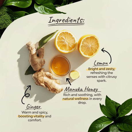 Organsia Citrom, gyömbér és manuka méz bio tea 32 g (18 filter)